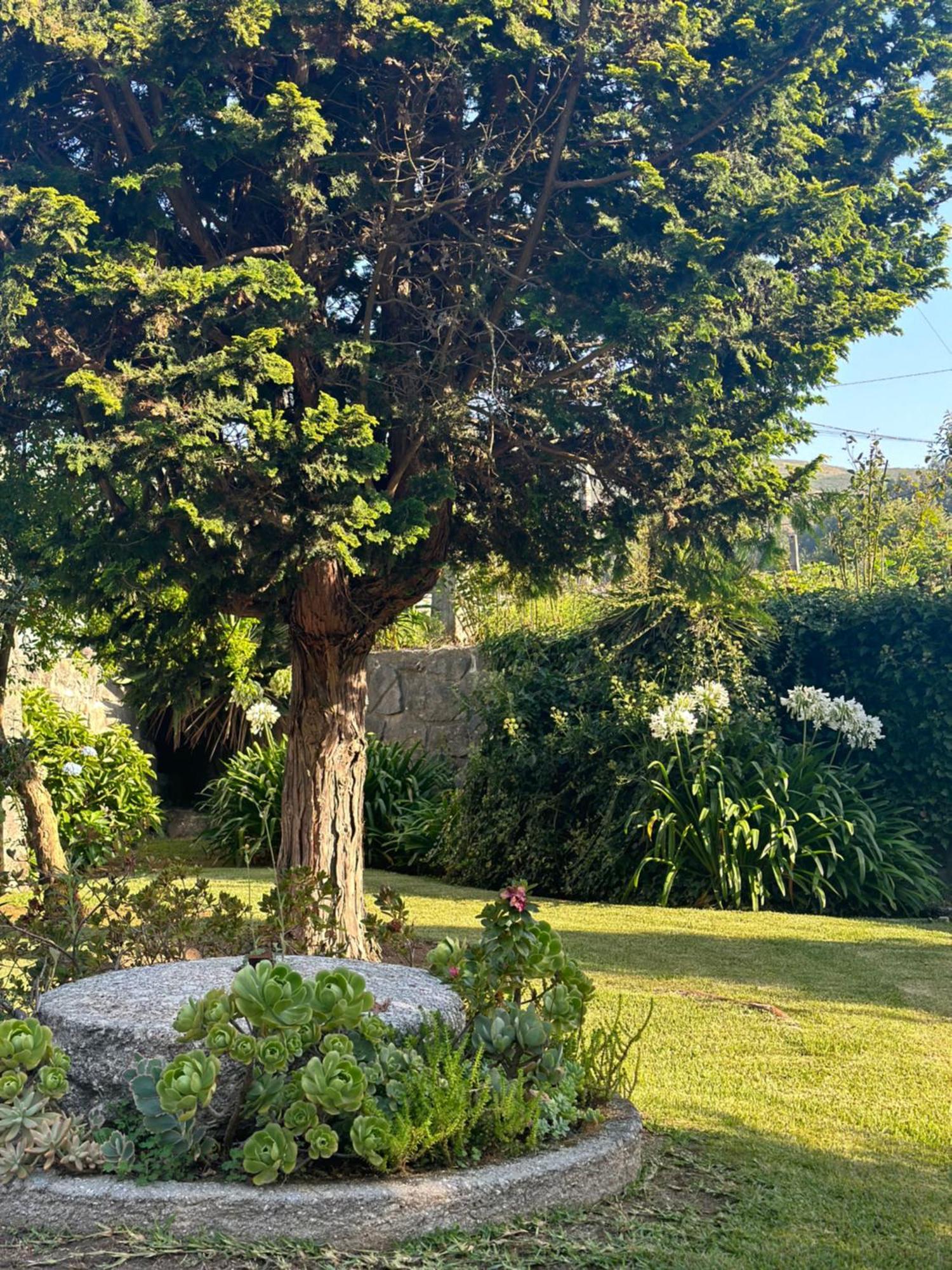 Vila Guia In Valdreu Braga Exteriör bild